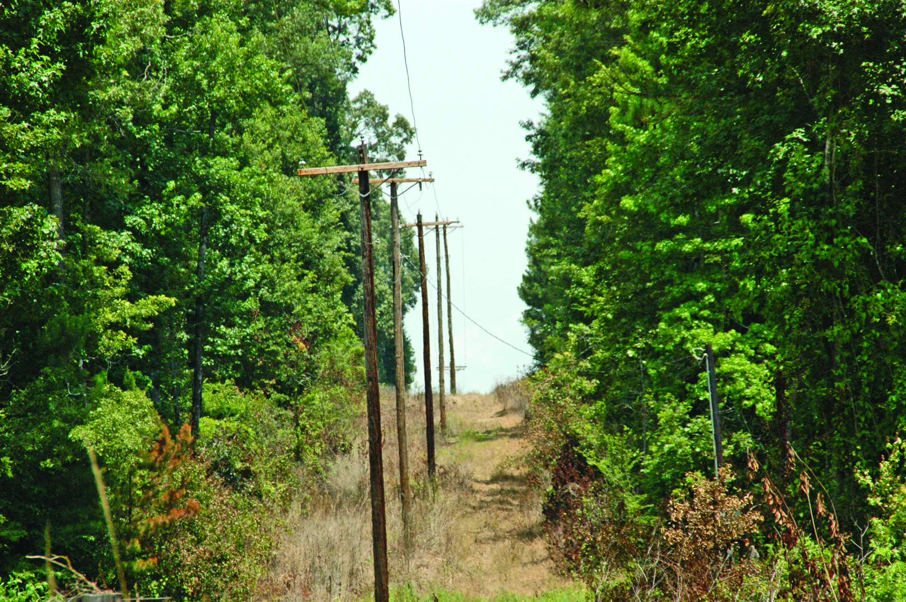 Clean distribution right-of-way